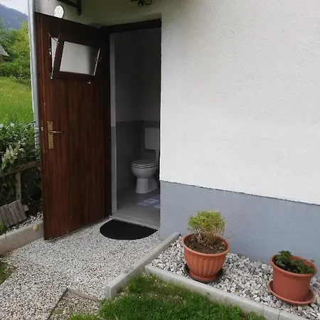 Soba Pri Bregarju Homestay *