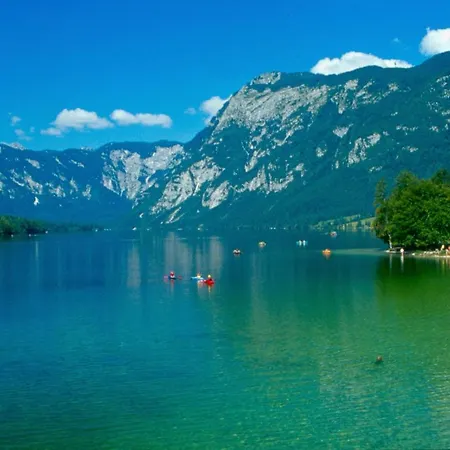 Soba Pri Bregarju * Bohinj