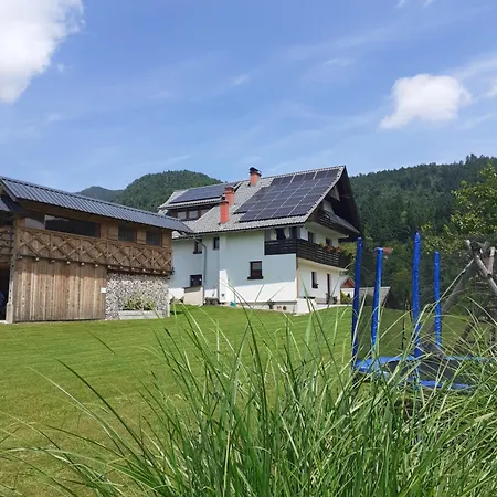 Homestay Soba Pri Bregarju *